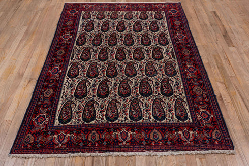Antique Senne Area Rug (4' x 6')